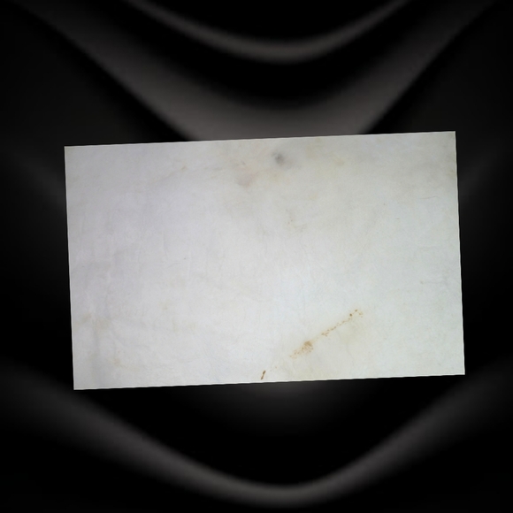 100% Genuine Sheepskin Rug By Shear Style Collection - Picture 7 of 10